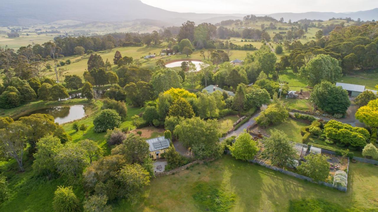 Blackwood Park Cottages Mole Creek Zewnętrze zdjęcie